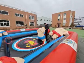 Sumo Wrestling Sumo Wrestling