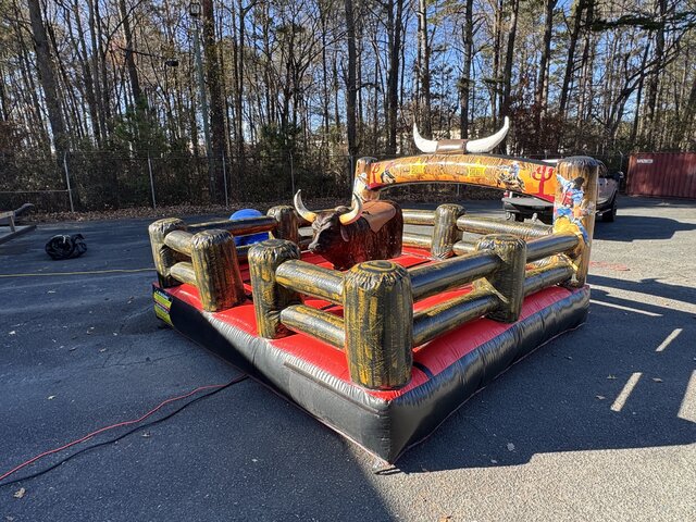 Queen City Raging Bull